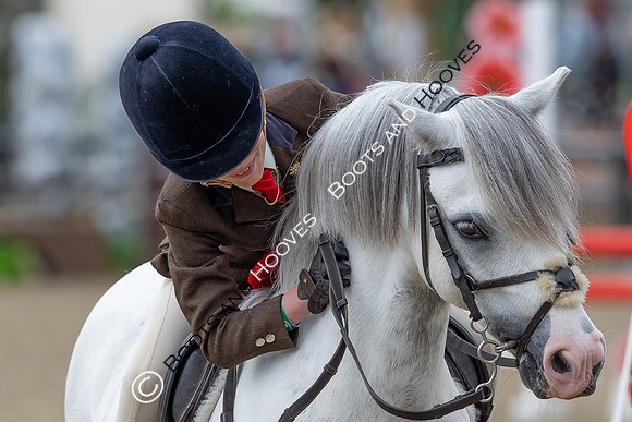 Royal Windsor Horse Show