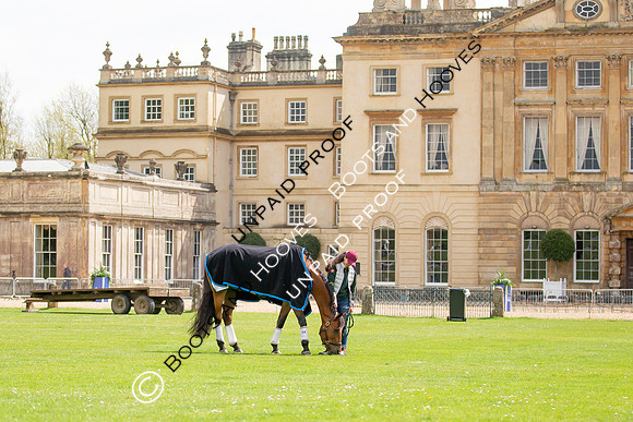 Badminton Horse Trials