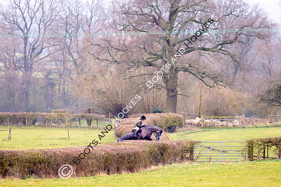 The Ledbury Hunt