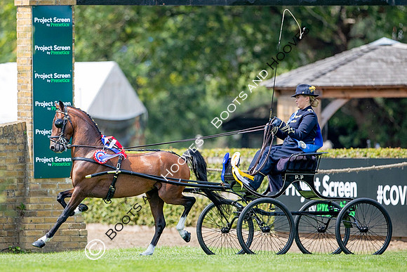 The Prenetics Royal International Horse Show