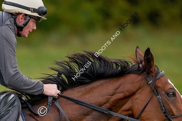 Newmarket