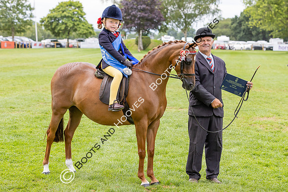 The Agria Royal International Horse Show