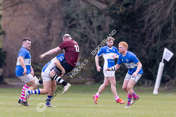 BSRFC v Royston