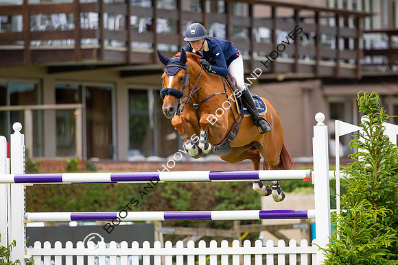 Showjumping