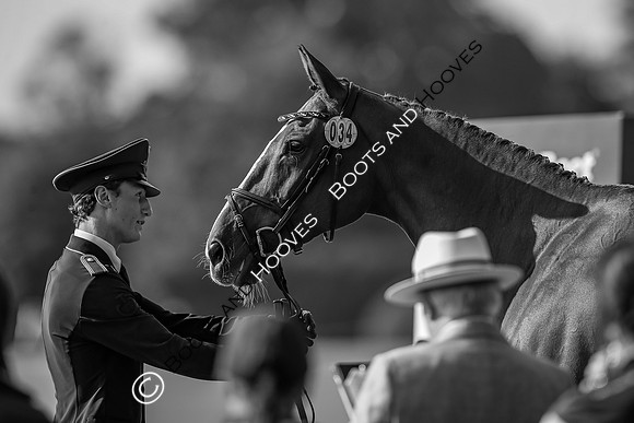 Blenheim Palace International Horse Trials