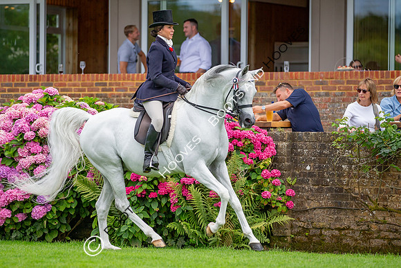 The AGRIA Royal International Horse Show
