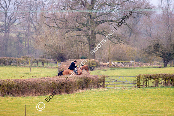 The Ledbury Hunt
