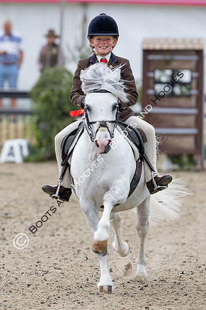 Royal Windsor Horse Show