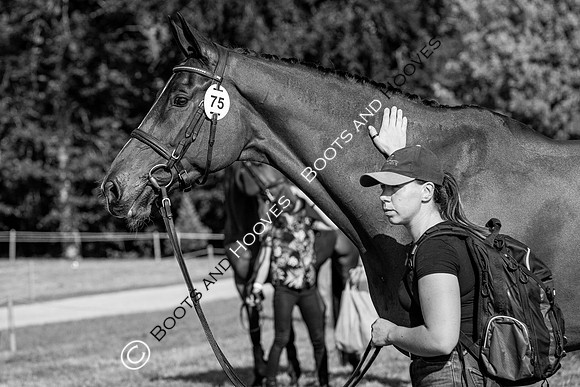 Blenheim Palace International Horse Trials