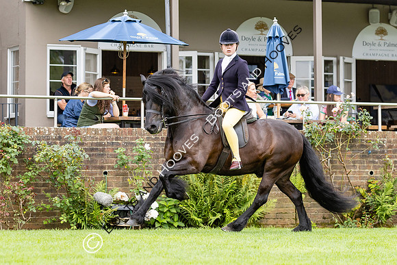 The Agria Royal International Horse Show