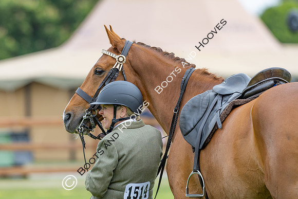 Royal Windsor Horse Show