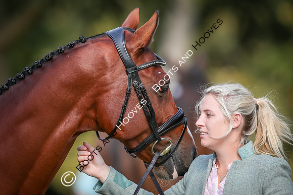 Blenheim Palace International Horse Trials