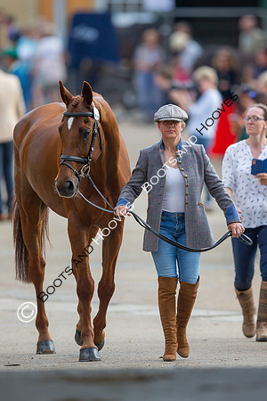 Badminton Horse Trials