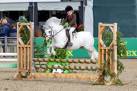 Royal Windsor Horse Show