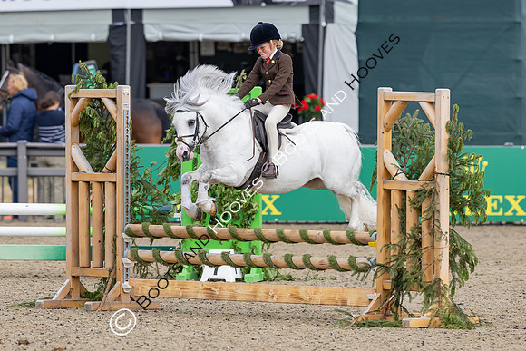 Royal Windsor Horse Show