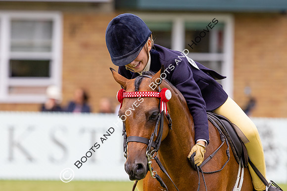 The Agria Royal International Horse Show