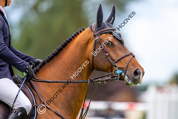 Showjumping