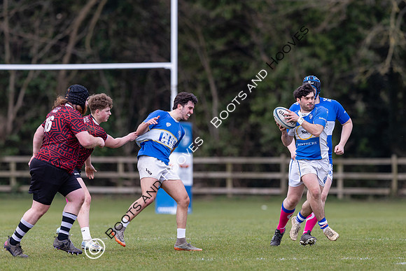 BSRFC v Royston