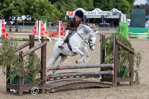 Royal Windsor Horse Show