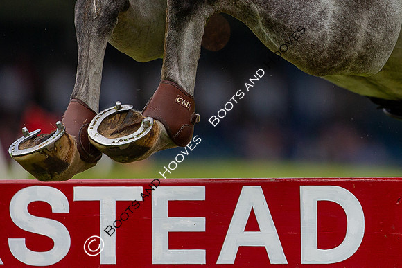 Showjumping