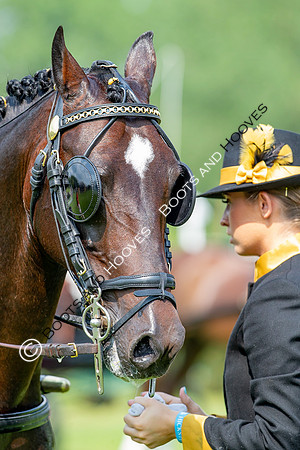 The Prenetics Royal International Horse Show