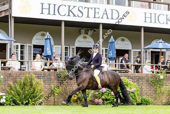 The Agria Royal International Horse Show