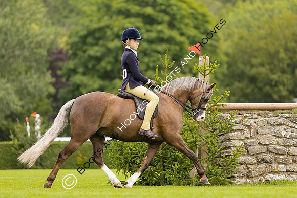 The Agria Royal International Horse Show