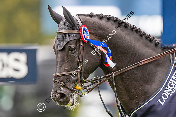 The Longines Royal International Horse Show