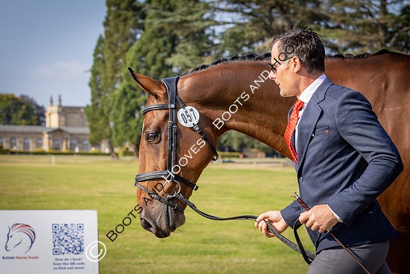 Blenheim Palace International Horse Trials