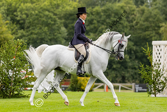 The Agria Royal International Horse Show
