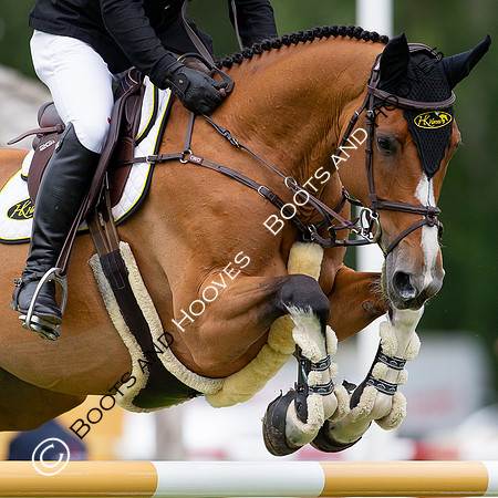 Showjumping