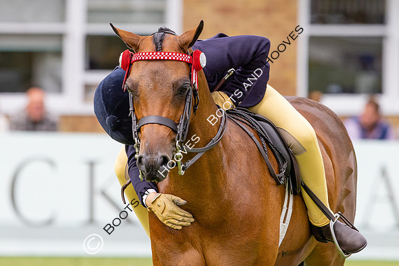 The Agria Royal International Horse Show