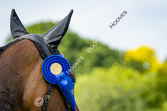 The Al Shira'aa Hickstead Derby Meeting