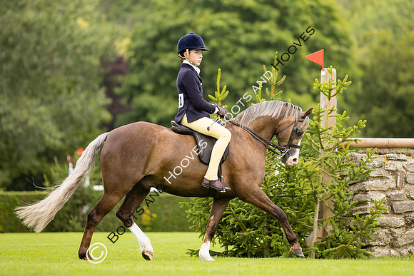 The Agria Royal International Horse Show