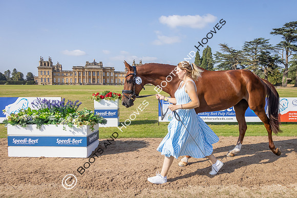 Blenheim Palace International Horse Trials