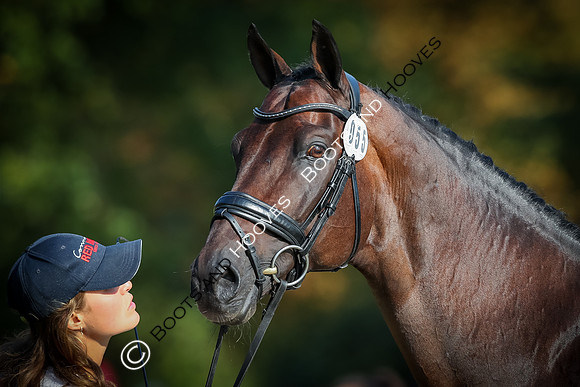 Blenheim Palace International Horse Trials