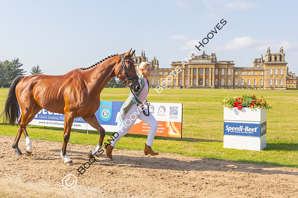 Blenheim Palace International Horse Trials