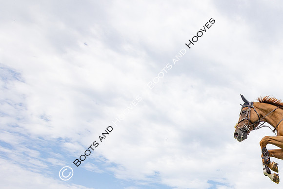 The Agria Royal International Horse Show