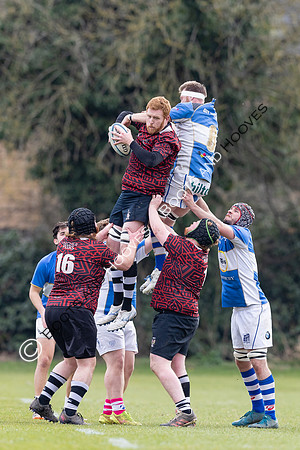 BSRFC v Royston
