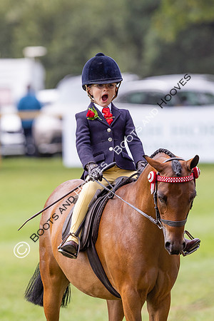 The Agria Royal International Horse Show