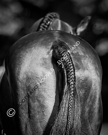 Blenheim Palace International Horse Trials