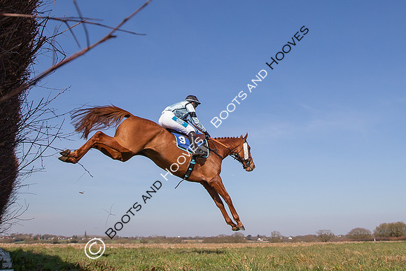 Newmarket