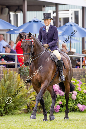 The Agria Royal International Horse Show