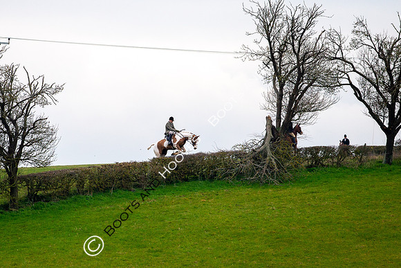 The Ledbury Hunt