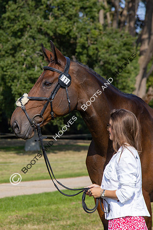 Blenheim Palace International Horse Trials