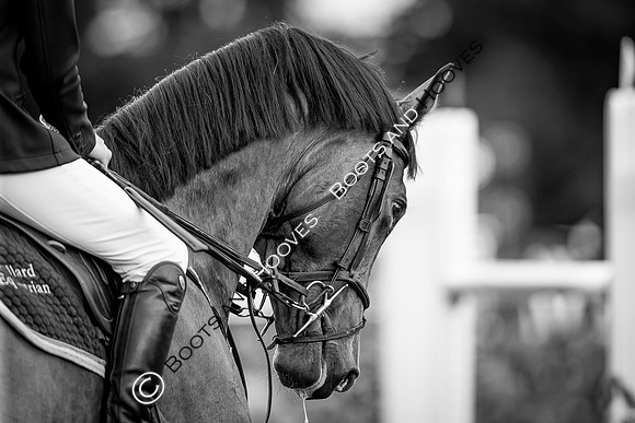 The Al Shira'aa Hickstead Derby Meeting
