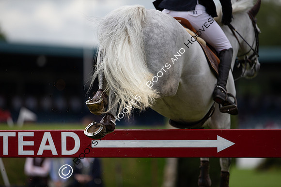 Showjumping