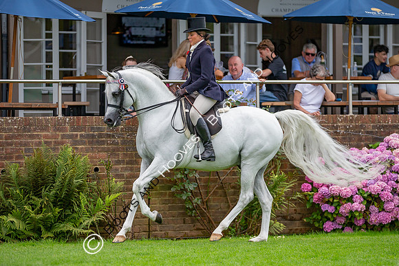 The AGRIA Royal International Horse Show