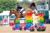 Royal Windsor Horse Show