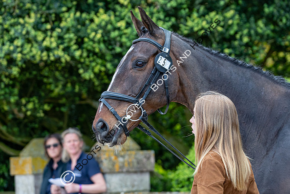 Badminton Horse Trials